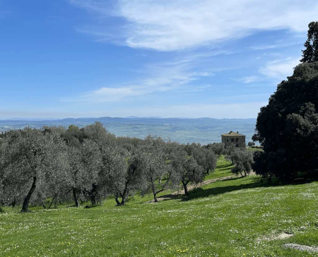 Le visite in azienda del corso in Marketing Internazionale del Vino (MIV)