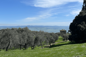 Le visite in azienda del MIV 10